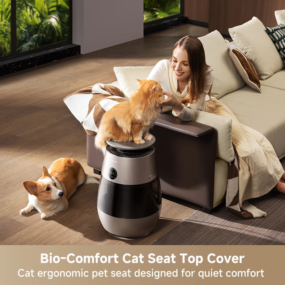 Dreame AP10 pet air purifier with a biomimetic cat house curved top cover designed for pet comfort