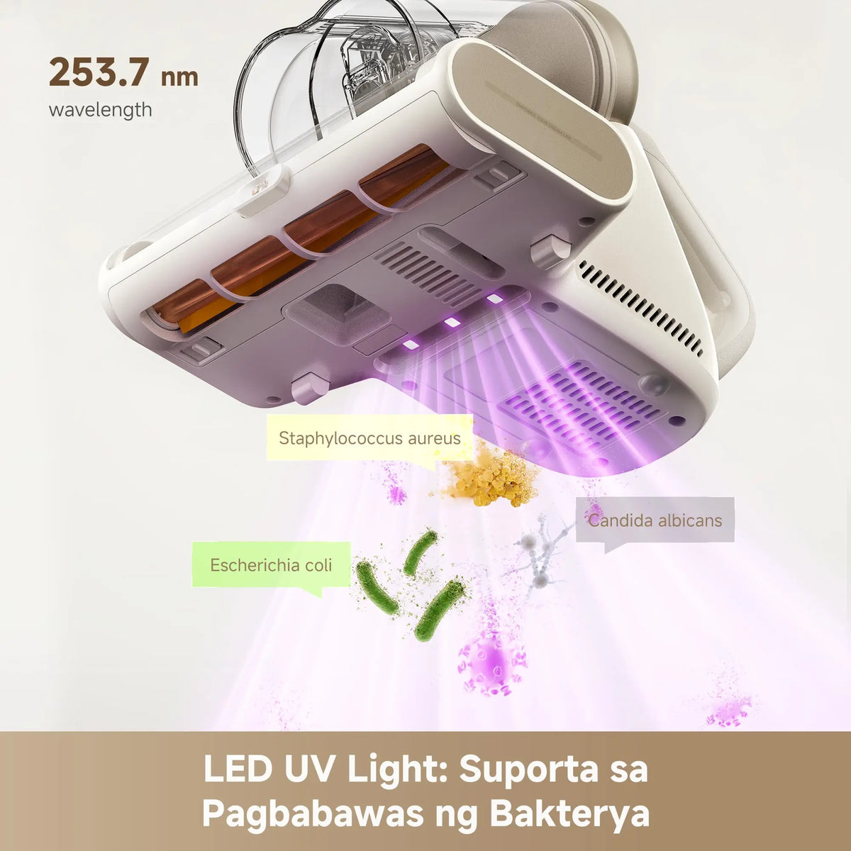 mite remover with UV light helps reduce bacteria on beds and fabric surfaces