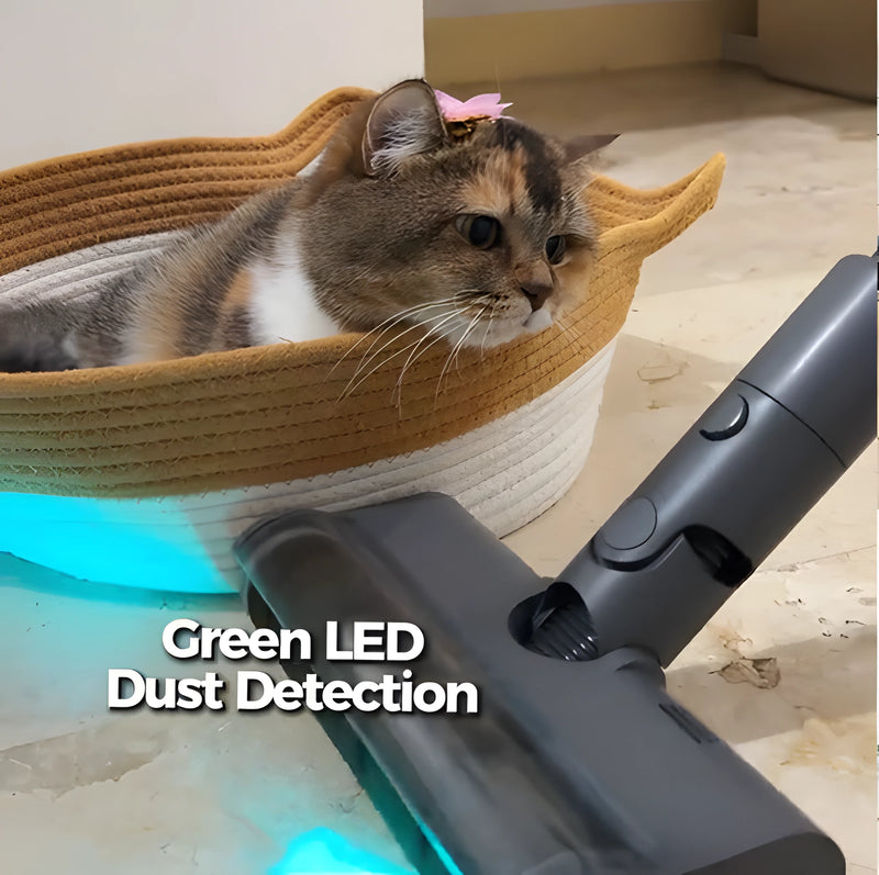Wisa and the Cattos ૮ ˙Ⱉ˙ ა